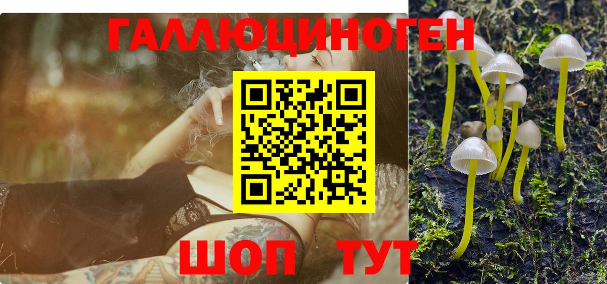 Бугуруслан  Псилоцибиновые грибы мухоморы  хочу   Вход с VPN 